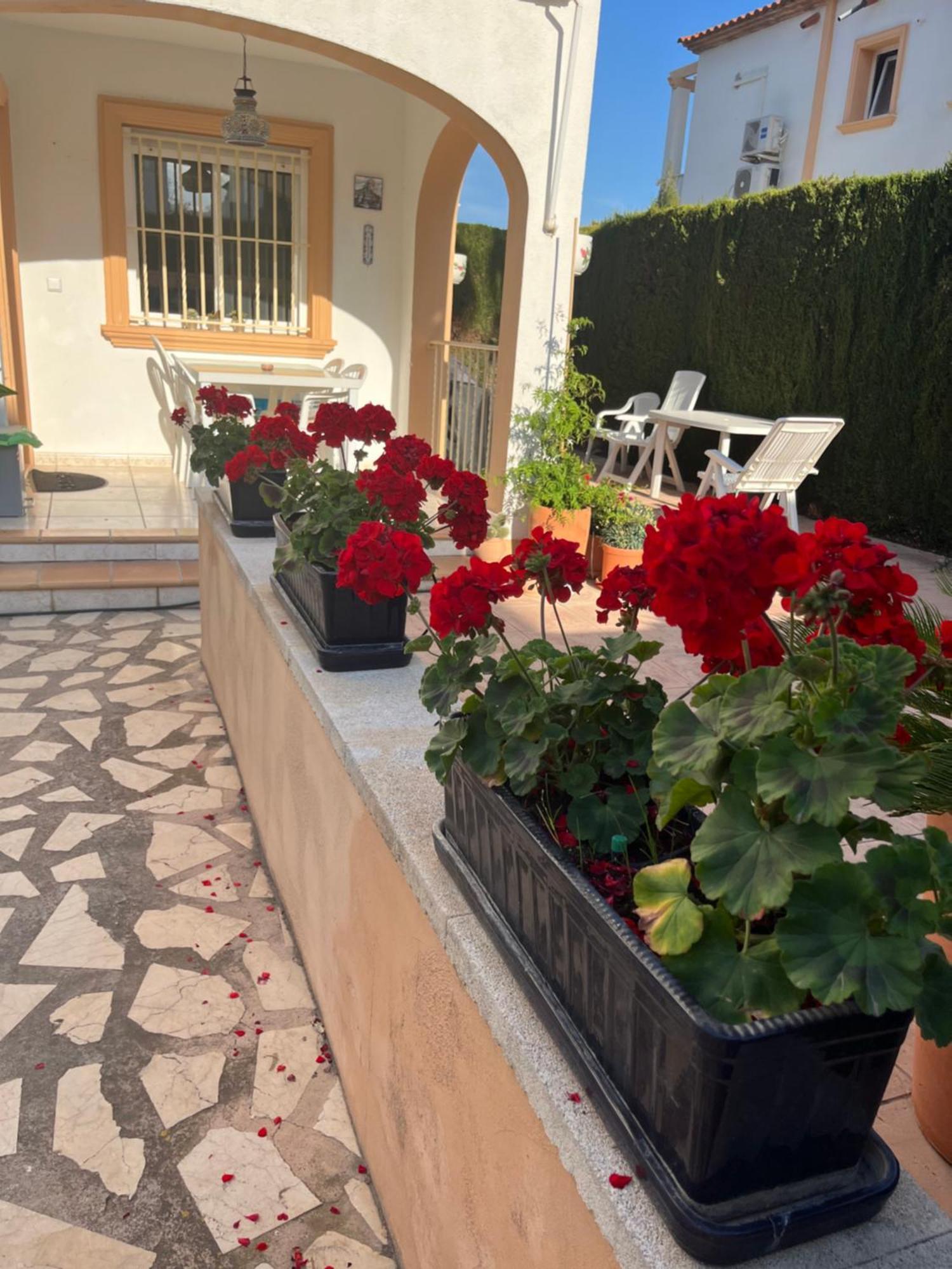 Ferienwohnung Bougain-Casa Calp Exterior foto